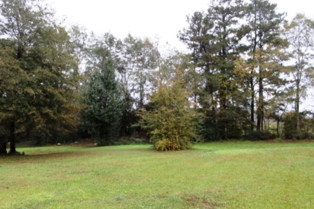 204 Hickman Road Forsyth, GA 31029 - Photo 10 of 13 a view of outdoor space