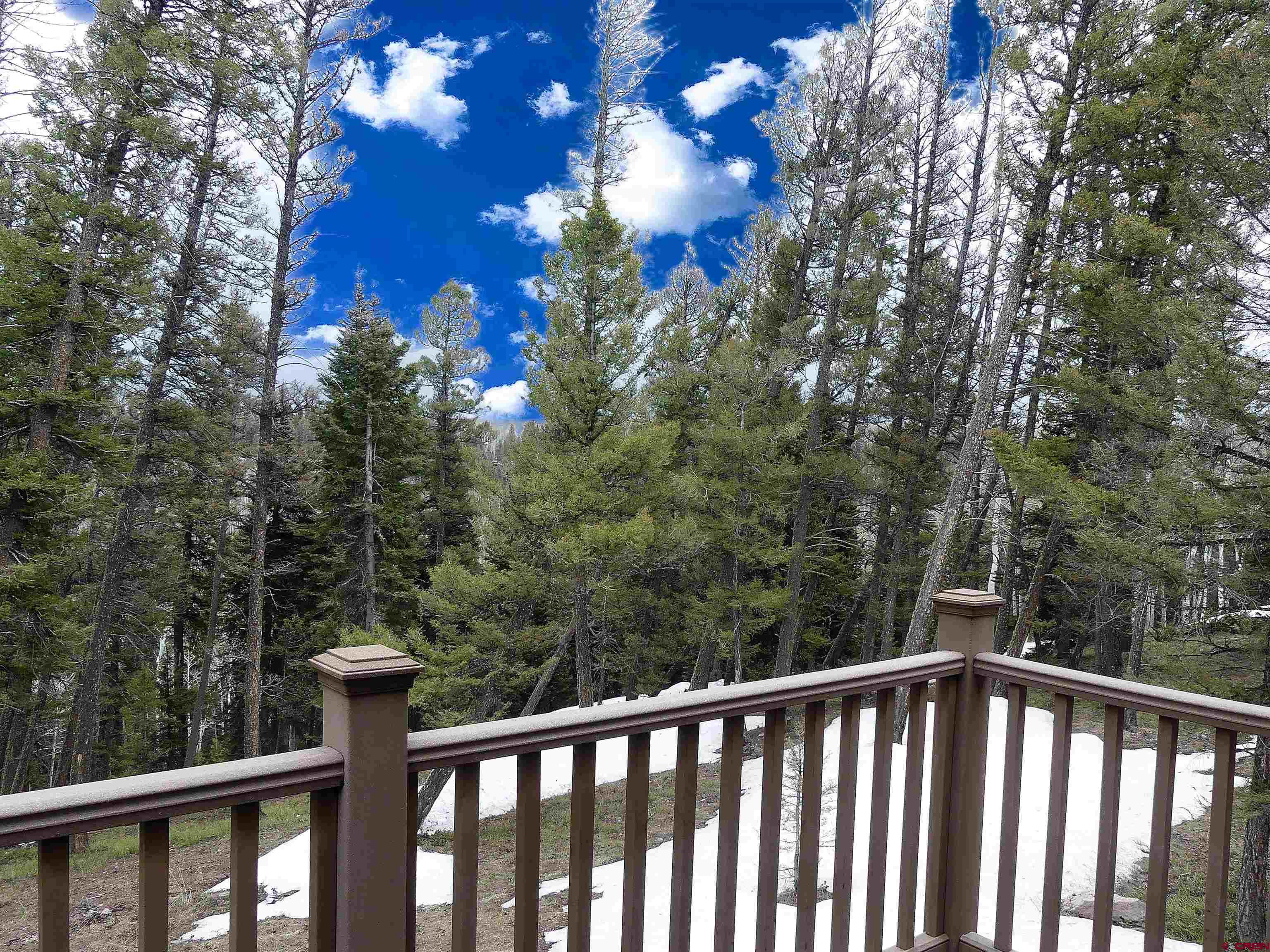 453 Ute Road Cimarron, CO 81220 - Photo 15 of 18 a view of a balcony with outdoor space