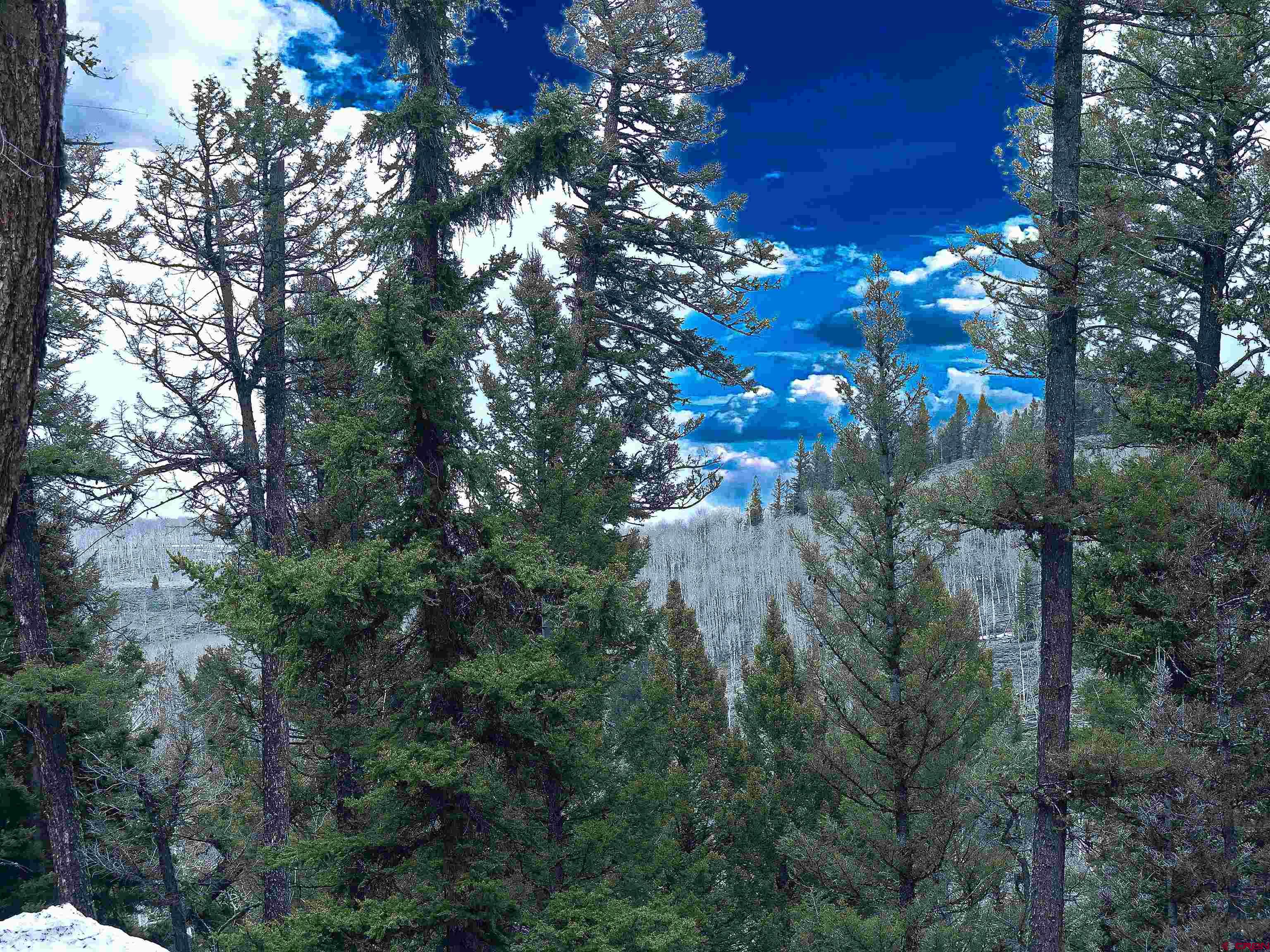 453 Ute Road Cimarron, CO 81220 - Photo 16 of 18 a view of a tree