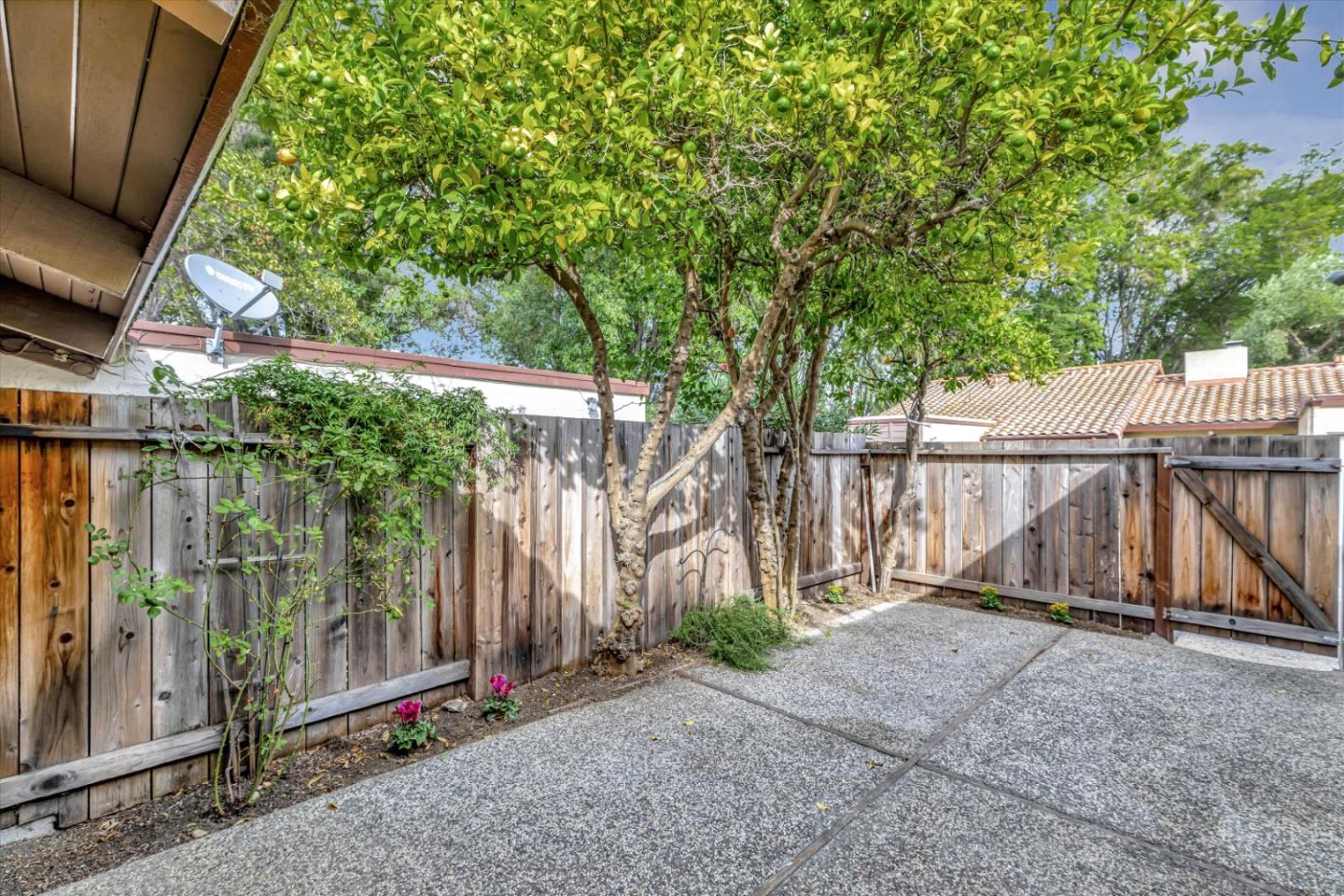 146 Brahms Way Sunnyvale, CA 94087 - Photo 19 of 24 a view of backyard with wooden fence and large trees