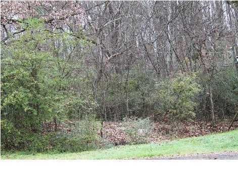 482 Rock Quarry Road Soddy Daisy, TN 37379 - Photo 1 of 4 Primary Photo