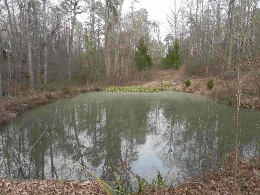 7.07 Brown Road Anderson, SC 29621 - Photo 1 of 29 Gallery Image 1