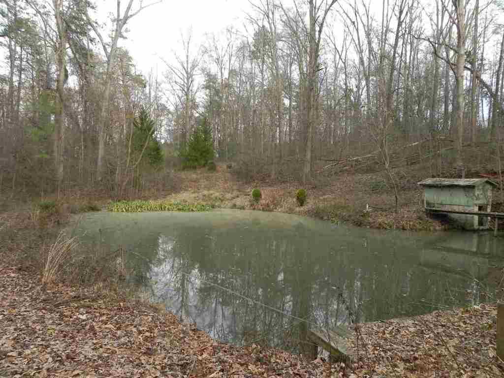 7.07 Brown Road Anderson, SC 29621 - Photo 11 of 29 Gallery Image 11