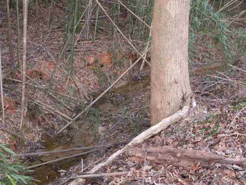 7.07 Brown Road Anderson, SC 29621 - Photo 17 of 29 Gallery Image 17