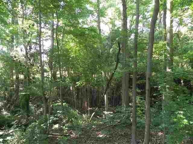 7.07 Brown Road Anderson, SC 29621 - Photo 18 of 29 Gallery Image 18