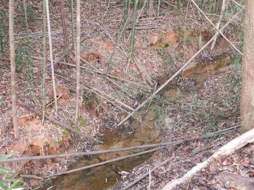 7.07 Brown Road Anderson, SC 29621 - Photo 19 of 29 Gallery Image 19