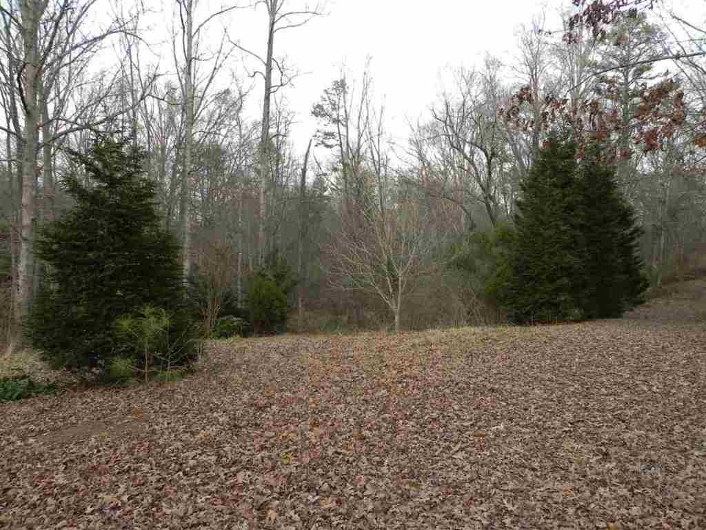 7.07 Brown Road Anderson, SC 29621 - Photo 21 of 29 Gallery Image 21