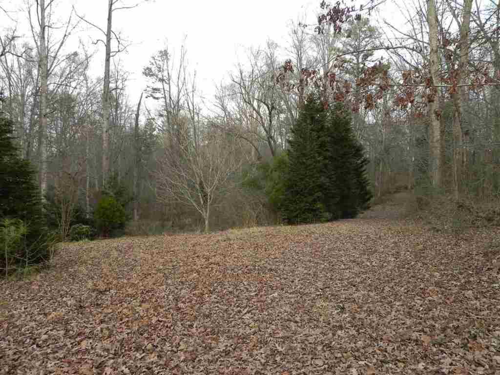 7.07 Brown Road Anderson, SC 29621 - Photo 22 of 29 Gallery Image 22