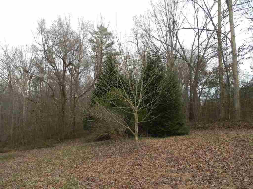 7.07 Brown Road Anderson, SC 29621 - Photo 26 of 29 Gallery Image 26