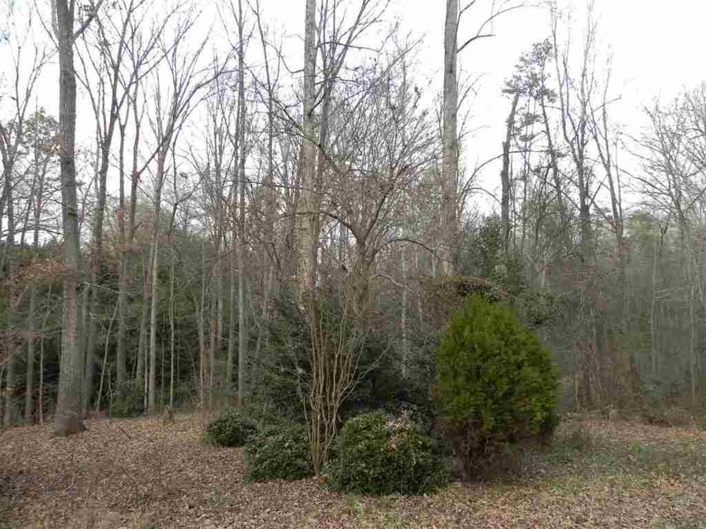7.07 Brown Road Anderson, SC 29621 - Photo 27 of 29 Gallery Image 27