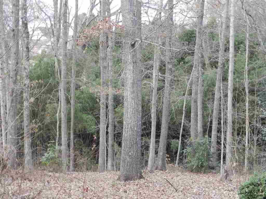 7.07 Brown Road Anderson, SC 29621 - Photo 28 of 29 Gallery Image 28