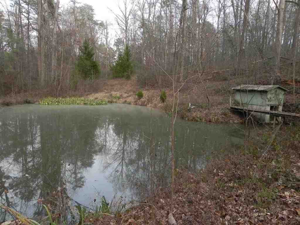7.07 Brown Road Anderson, SC 29621 - Photo 8 of 29 Gallery Image 8