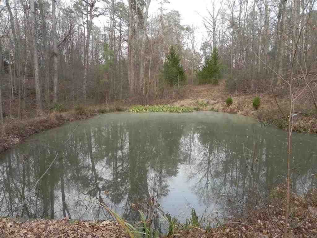 7.07 Brown Road Anderson, SC 29621 - Photo 9 of 29 Gallery Image 9