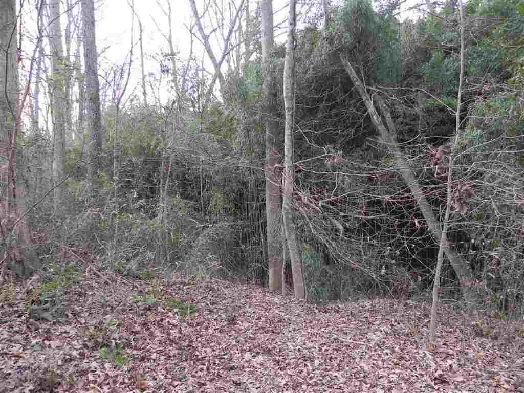 7.07 Brown Road Anderson, SC 29621 - Photo 10 of 29 Gallery Image 10