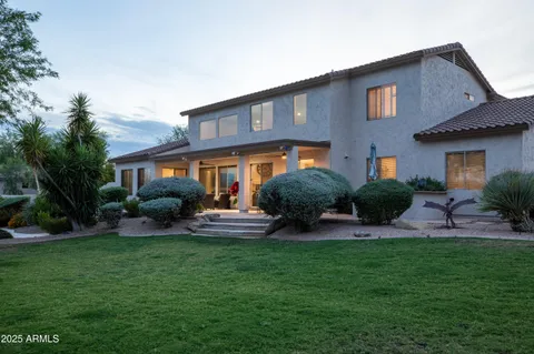 a view of a garden with potted plants