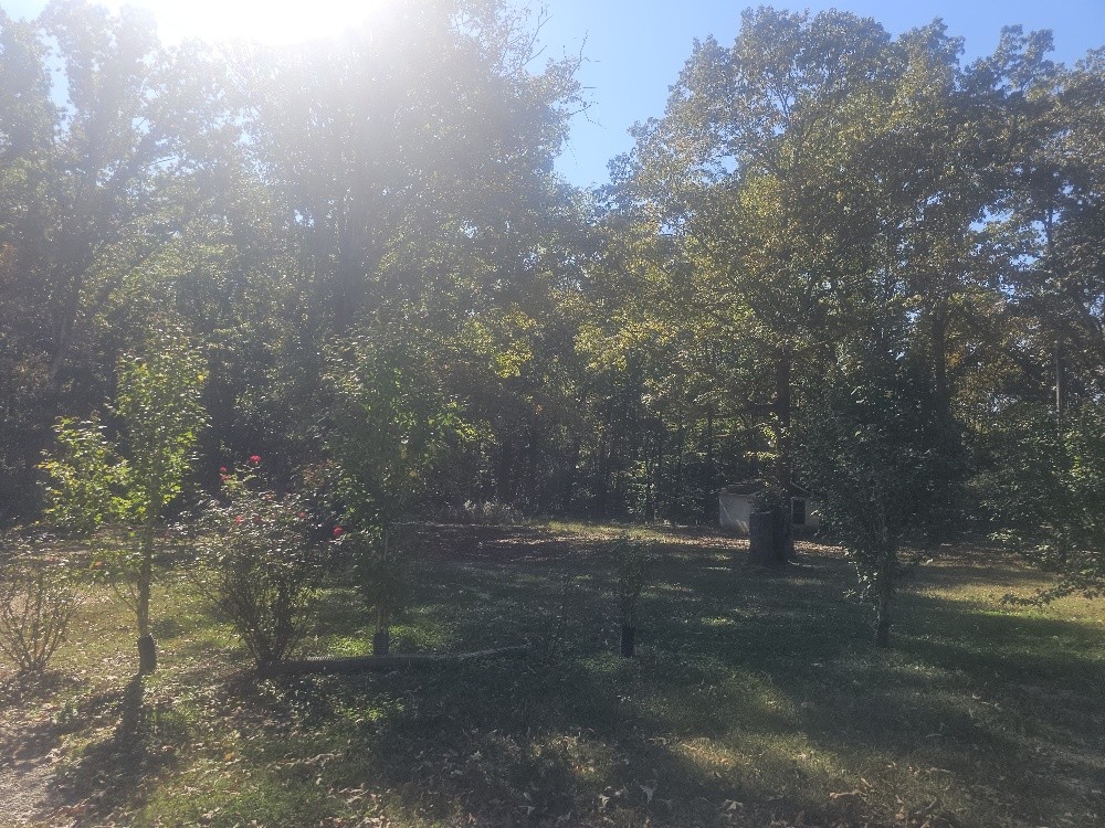 2753 Horn Tavern Road Fairview, TN 37062 - Photo 3 of 10 Gallery Image 3
