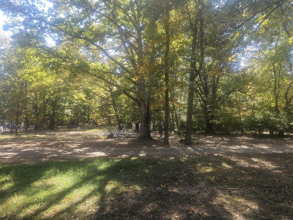 2753 Horn Tavern Road Fairview, TN 37062 - Photo 5 of 10 Gallery Image 5