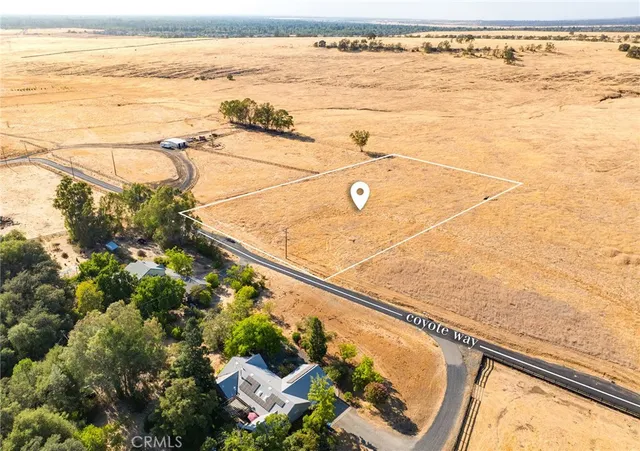 a view of a basket ball ground