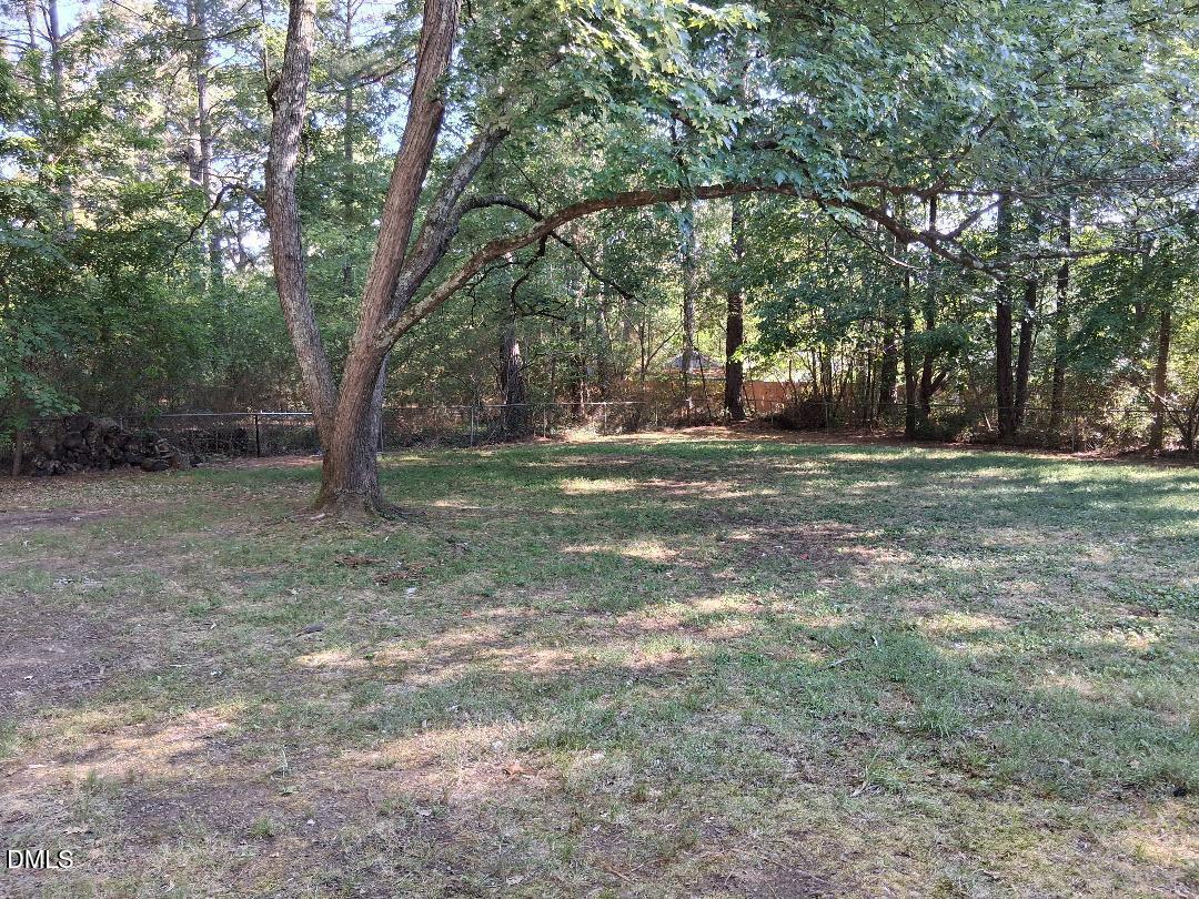 119 Temple Lane Durham, NC 27713 - Photo 5 of 7 tem bk yard