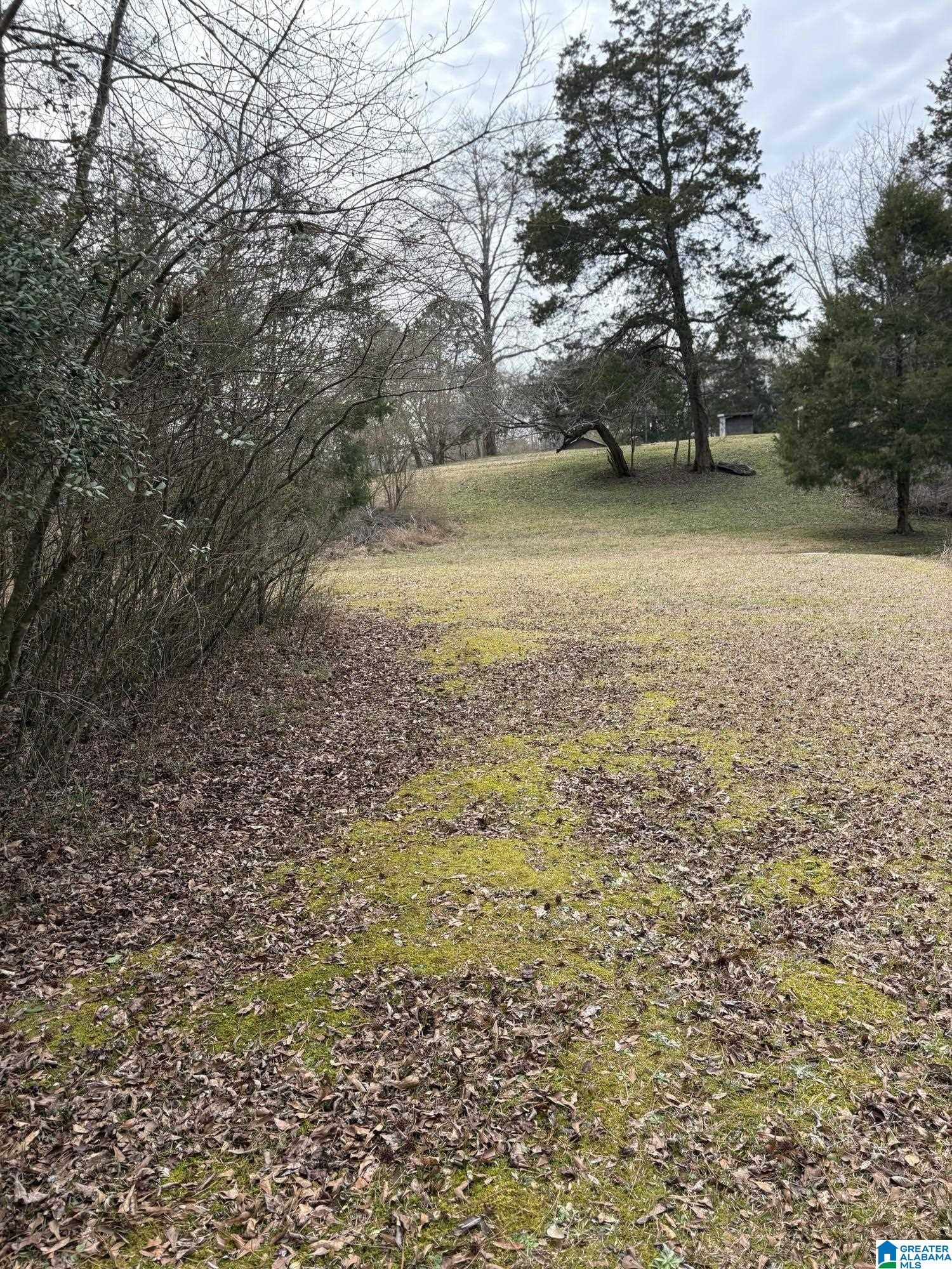 3809 Odens Mill Road Sylacauga, AL 35151 - Photo 25 of 28
