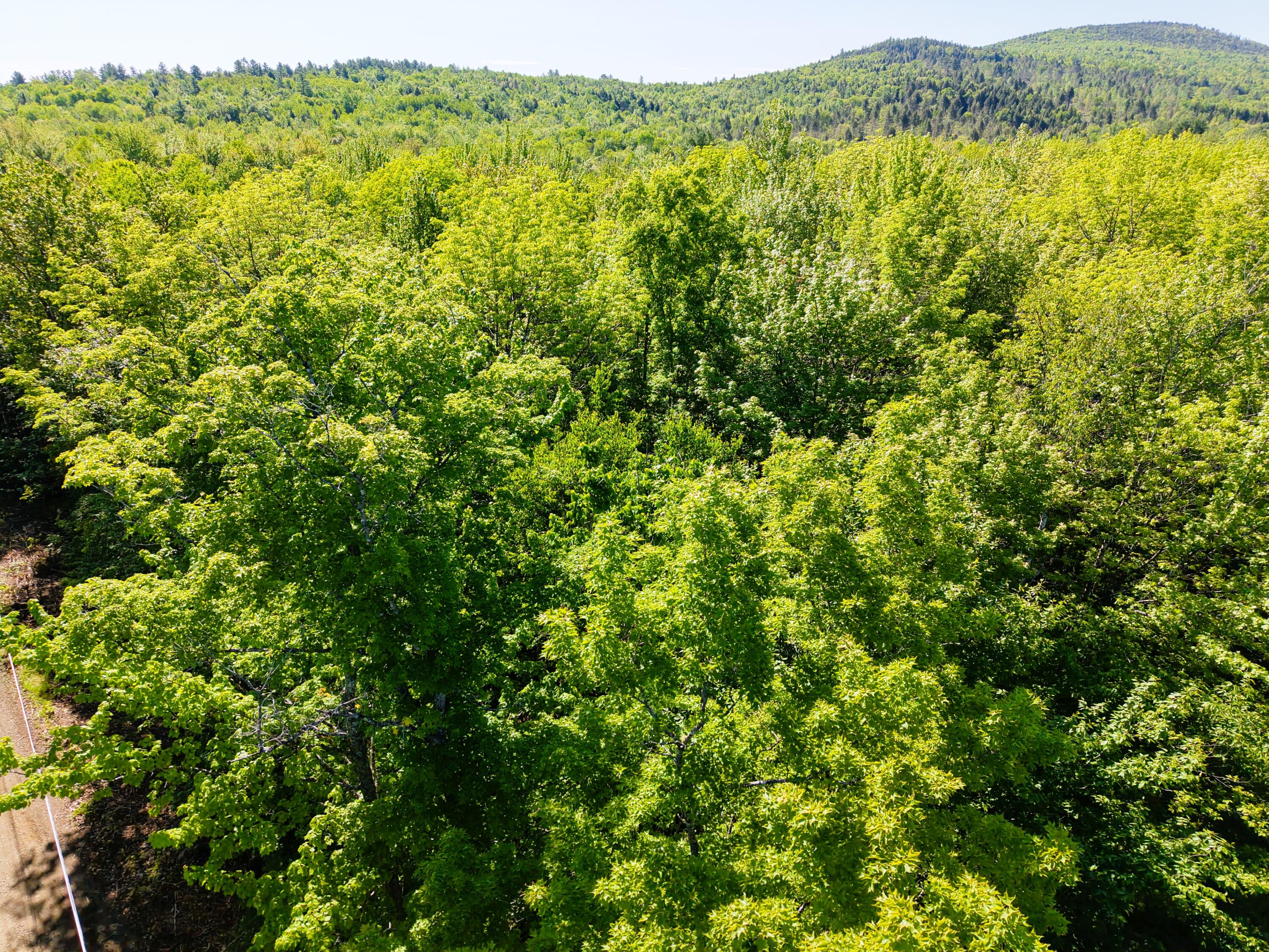 M10-l6-1 Hancock Pond Road New Portland, ME 04961 - Photo 23 of 30 DJI_20260603090134_0008_D