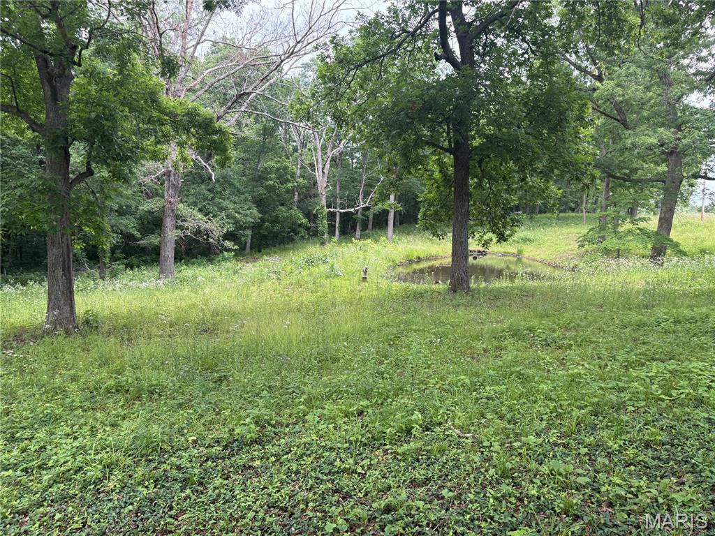 7440 Highway 17 Houston, MO 65483 - Photo 18 of 40