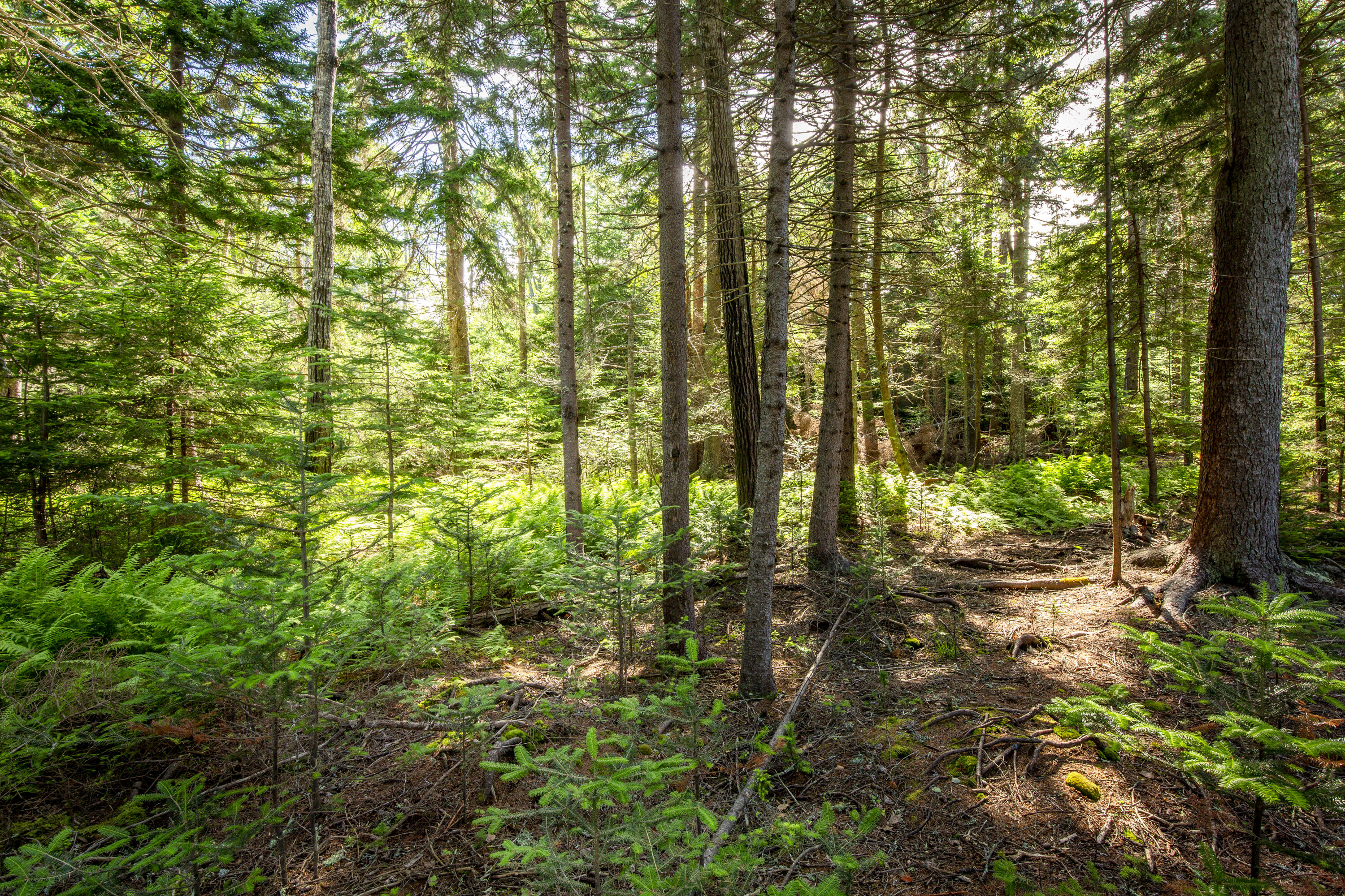 M15-l20-tbd Golf Club Road Islesboro, ME 04848 - Photo 21 of 41