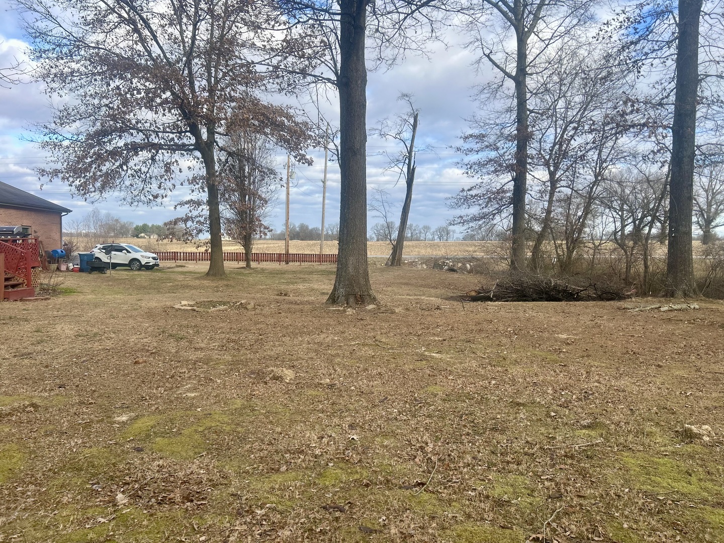 6 Carriage Lane Metropolis, IL 62960 - Photo 11 of 35 a view of a yard with trees