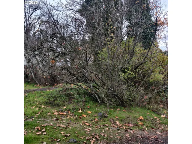 $149,900 | 0 North 1st Street, St. Helens, OR 97051