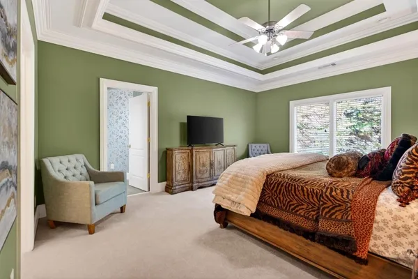 a view of a tree in a forest