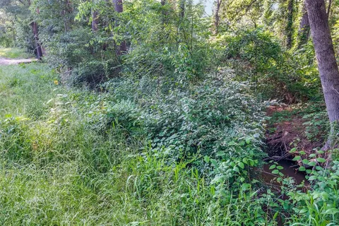 a view of a lush green forest with lots of trees