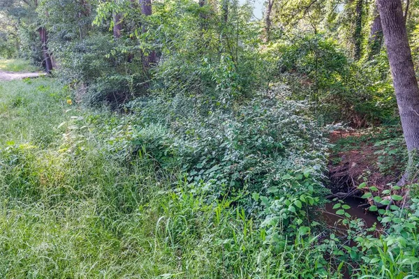a view of a lush green forest with lots of trees