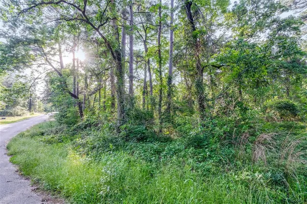 a view of yard with green space