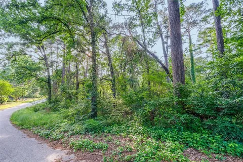 a view of a lush green forest