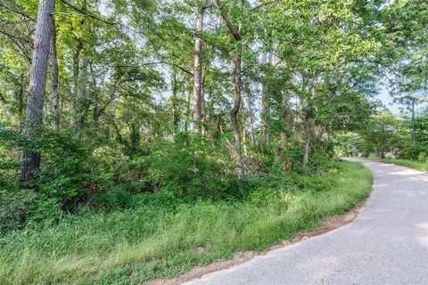 a view of a lush green forest