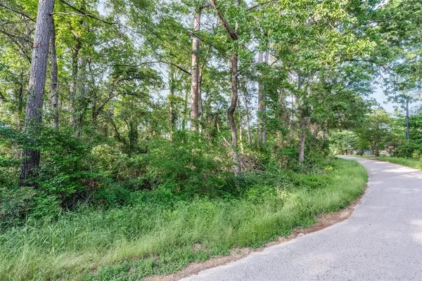 a view of a lush green forest