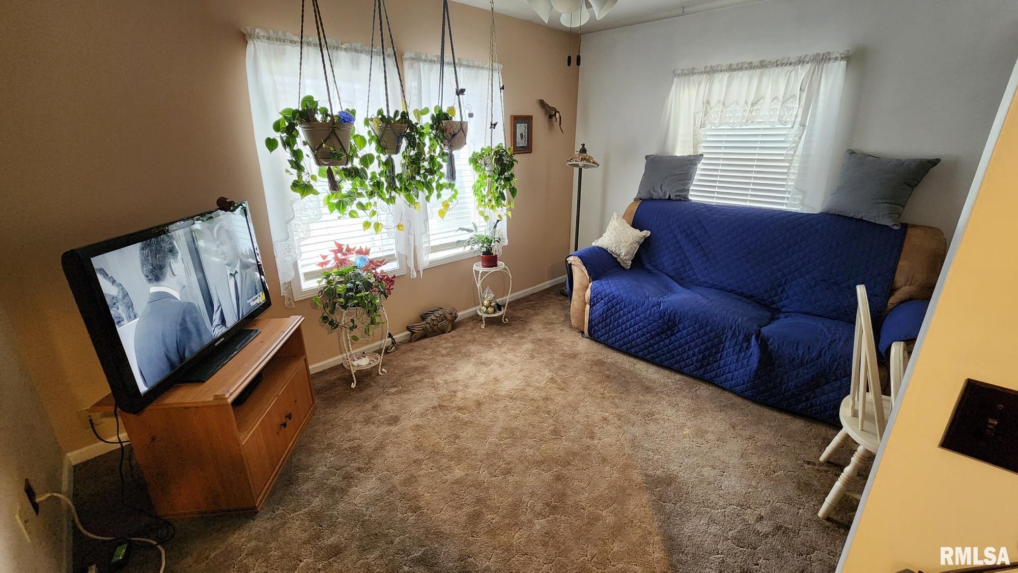 928 Cottage Road New Boston, IL 61272 - Photo 9 of 16 Gallery Image 9