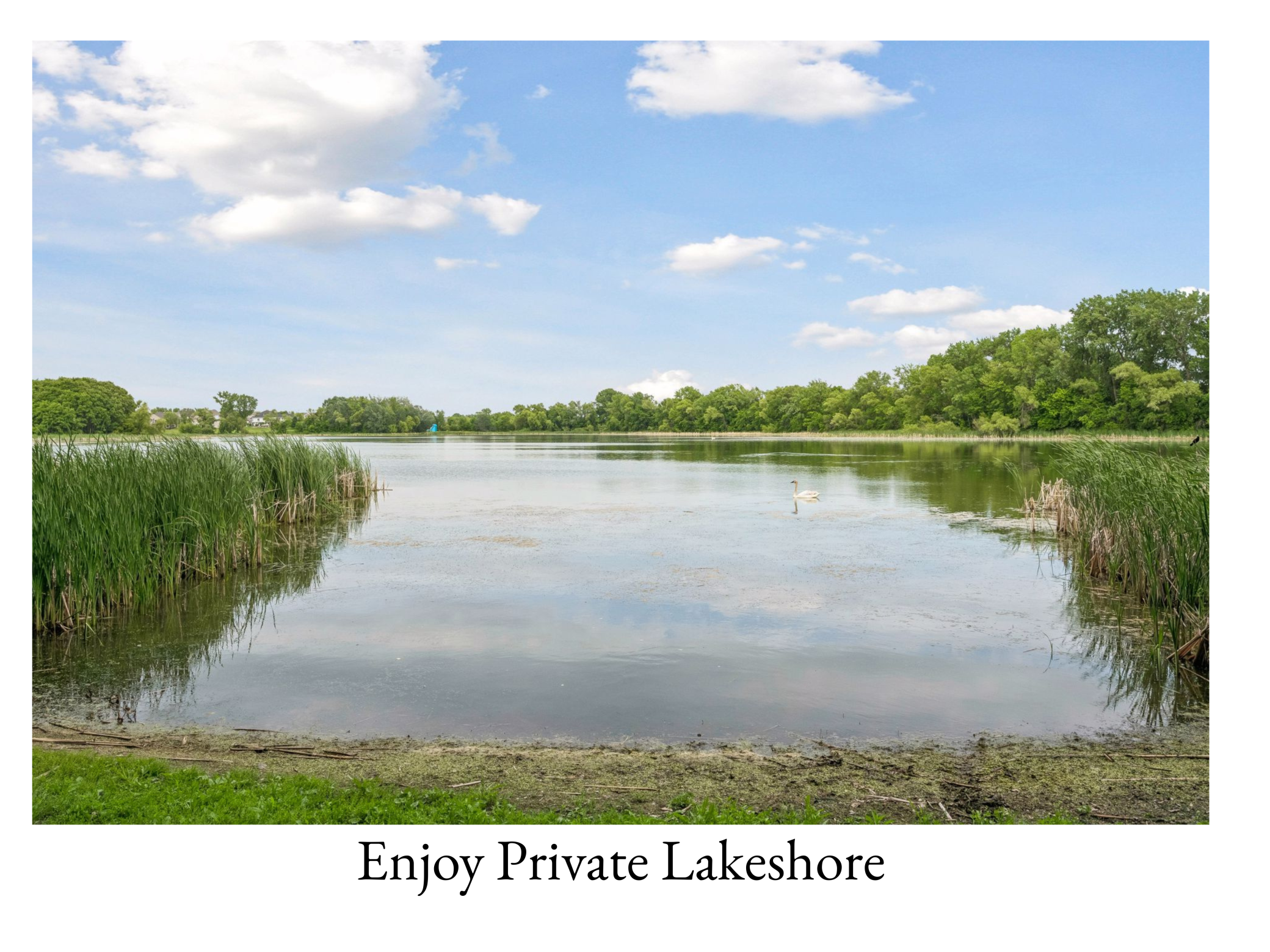 13160 Willandale Road Rogers, MN 55374 - Photo 4 of 54