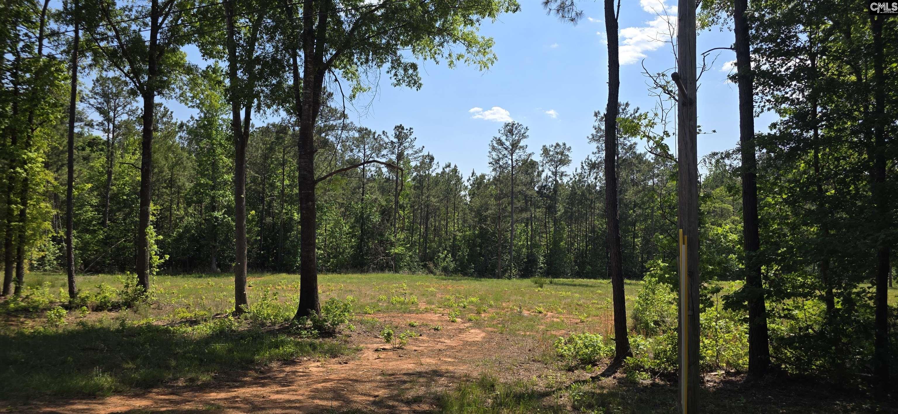 Tbd Tbd Trade Mill Road Winnsboro, SC 29180 - Photo 1 of 3