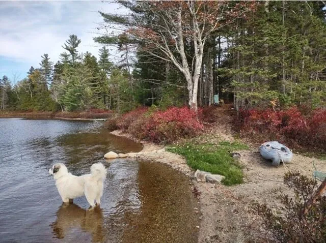 $129,000 | Lot 3 Widerness Way North, Wesley, ME 04686