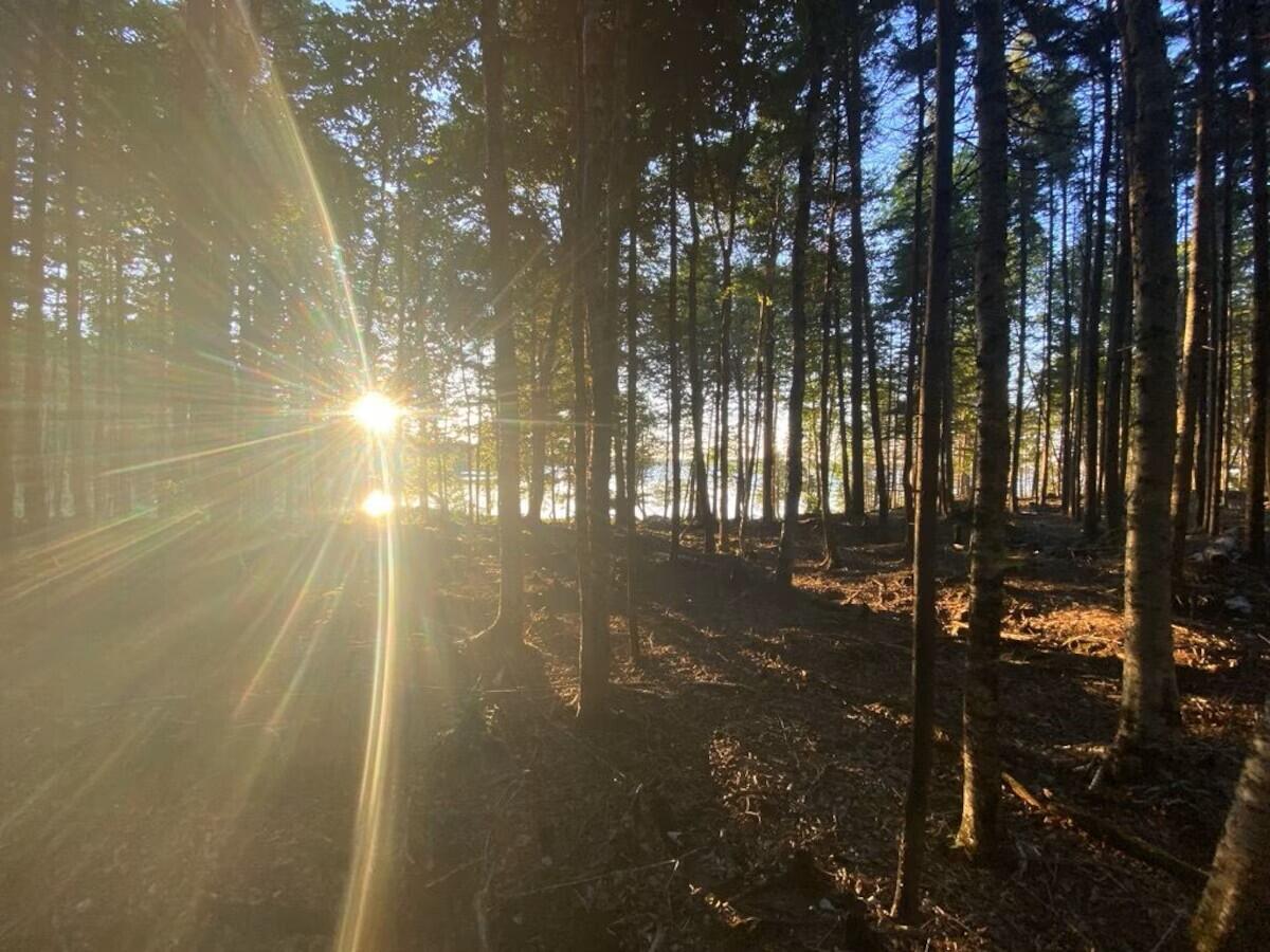 Lot 3 Widerness Way North Wesley, ME 04686 - Photo 2 of 10 WESLEY LISTING (6)