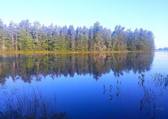 $129,000 | Lot 3 Widerness Way North, Wesley, ME 04686