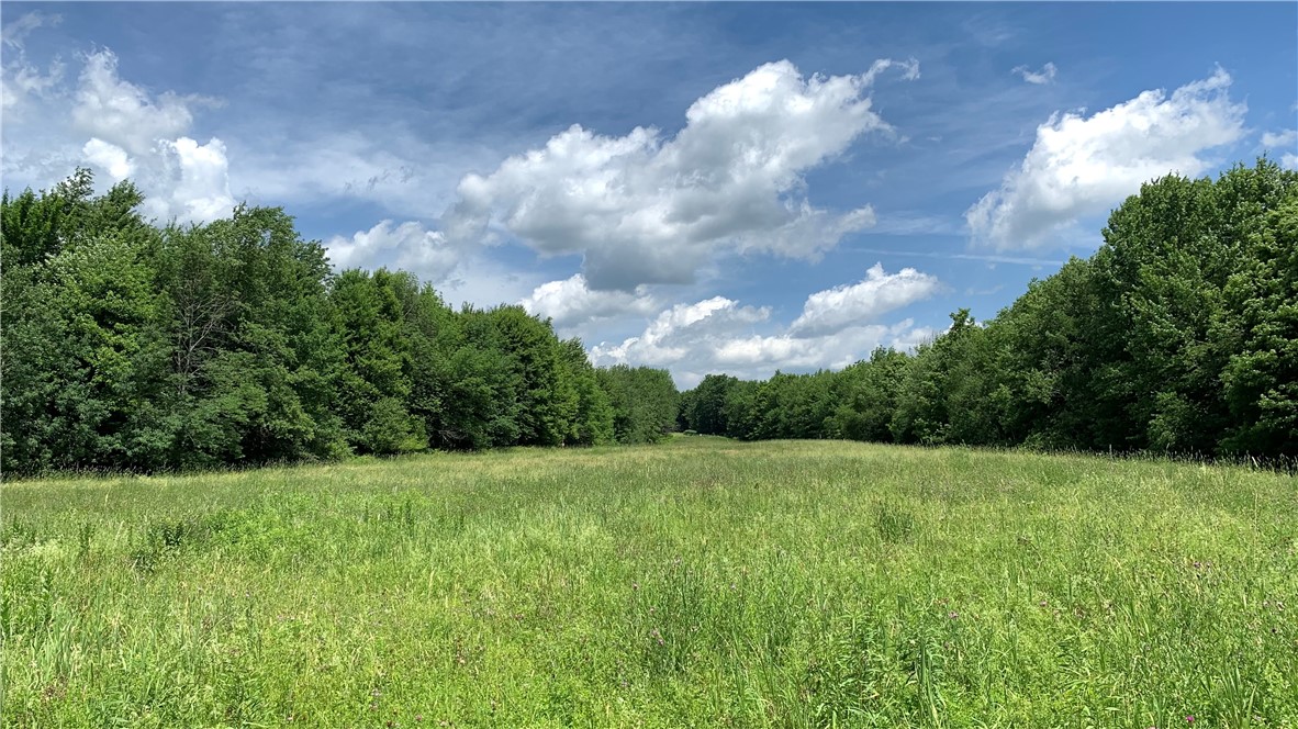 667 Boos Law Road Smyrna, NY 13464 - Photo 36 of 50