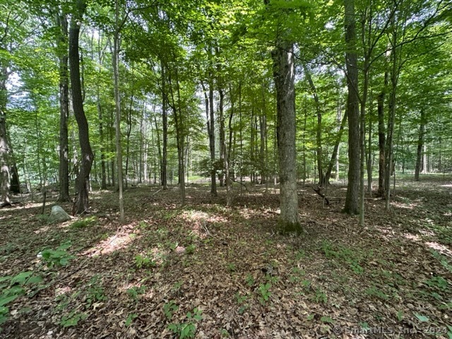 0 Scott Hill Road Lebanon, CT 06249 - Photo 1 of 1