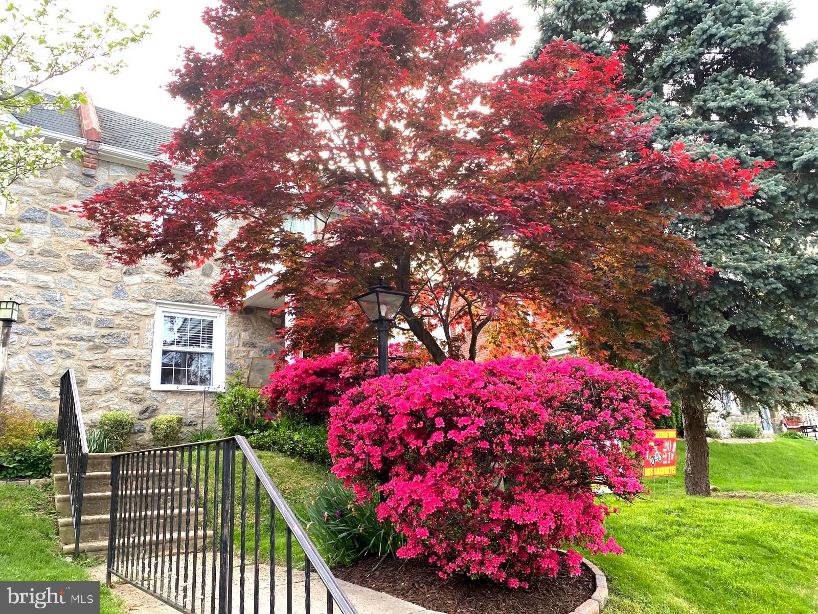 52 Woodbine Road Havertown, PA 19083 - Photo 5 of 38 a view of a house with a flower garden