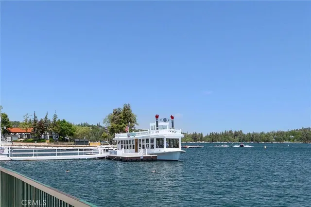 a view of a city with tall trees