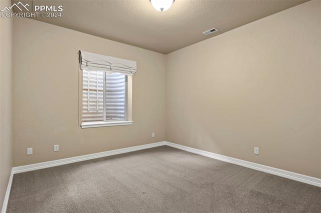 2464 Cinnabar Road Colorado Springs, CO 80921 - Photo 26 of 43 Basement bedroom 2 with carpet and a textured ceiling