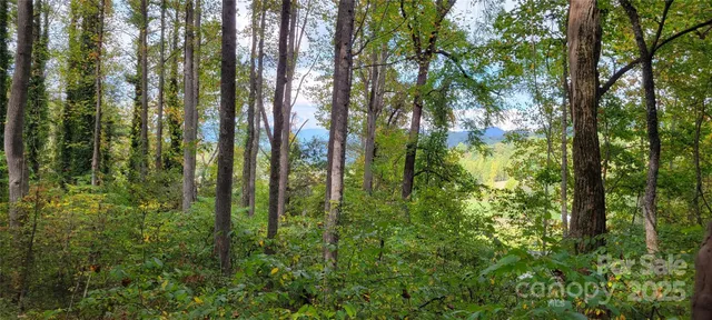 $74,000 | 0 Dodder Lane, Cullowhee, NC 28723