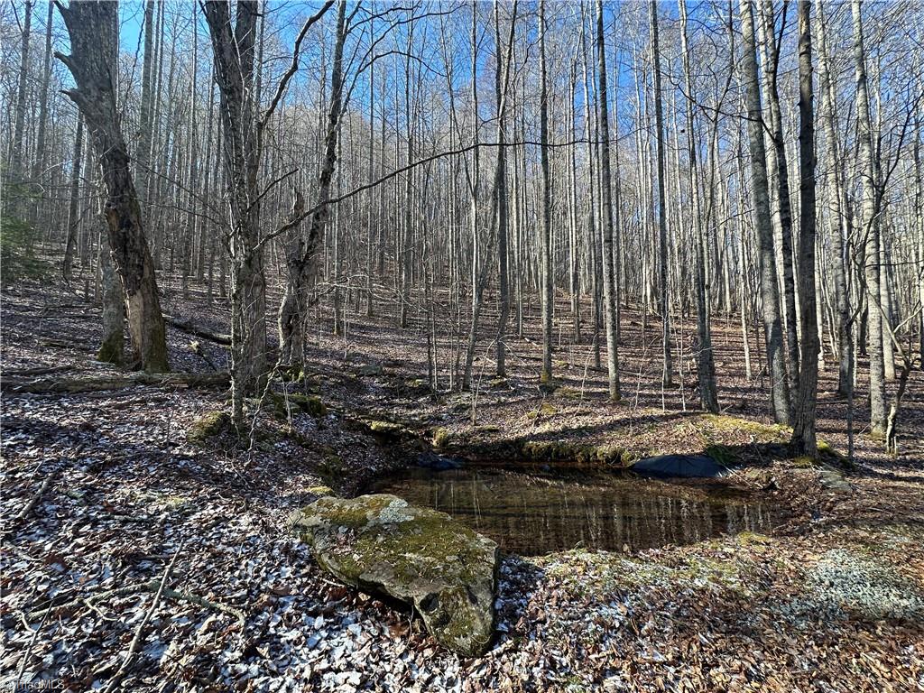 Tbd Rainbow Trail Boone, NC 28607 - Photo 12 of 27 Gallery Image 12