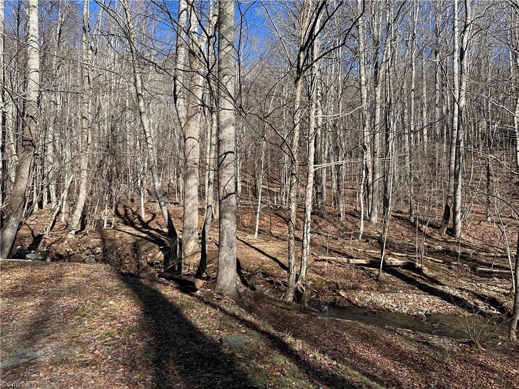 Tbd Rainbow Trail Boone, NC 28607 - Photo 14 of 27 Gallery Image 14